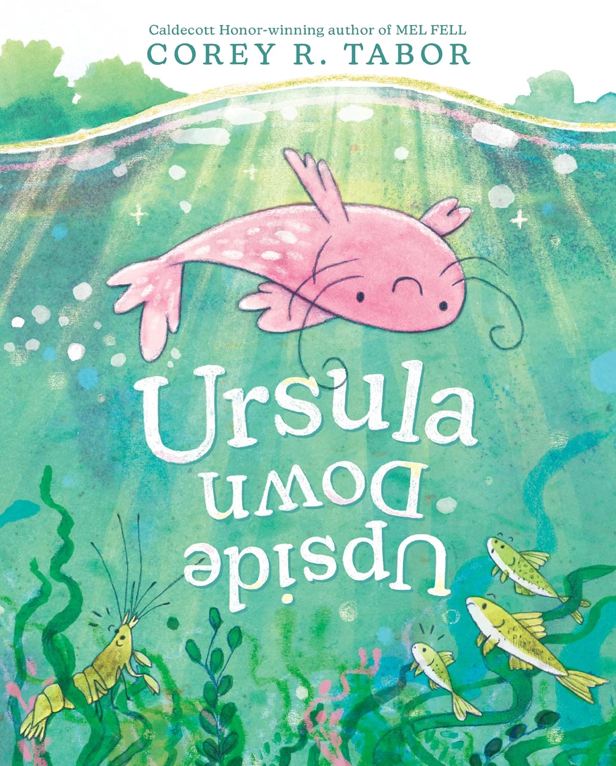 Book cover for Corey R. Tabor's Ursula Upside Down